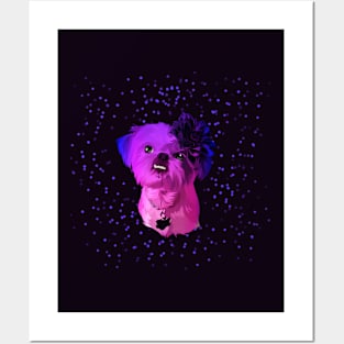 Dog cat colorful Posters and Art